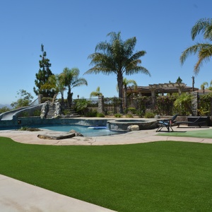 A Water-Saving Backyard Transformation